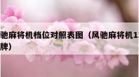 风驰麻将机档位对照表图（风驰麻将机136张牌）