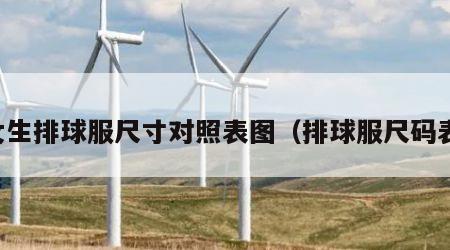 女生排球服尺寸对照表图（排球服尺码表）