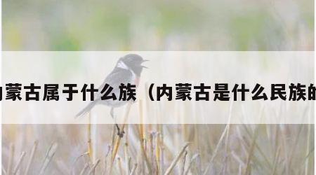 内蒙古属于什么族（内蒙古是什么民族的）