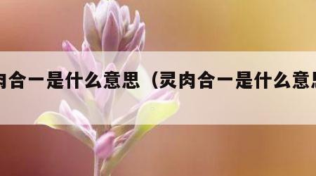 灵肉合一是什么意思（灵肉合一是什么意思啊）