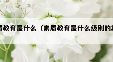 素质教育是什么（素质教育是什么级别的期刊）