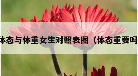 体态与体重女生对照表图（体态重要吗）