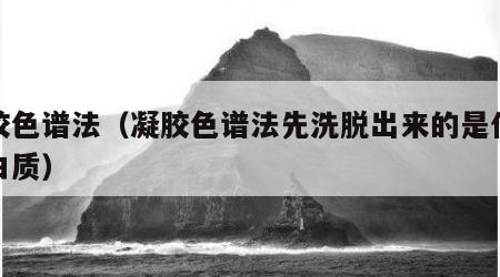 凝胶色谱法（凝胶色谱法先洗脱出来的是什么蛋白质）
