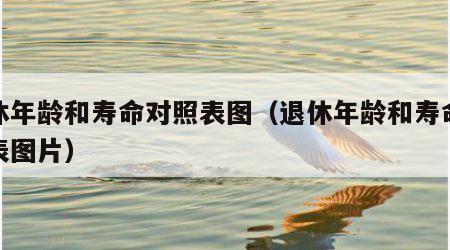 退休年龄和寿命对照表图（退休年龄和寿命对照表图片）