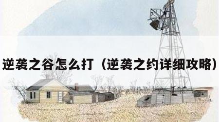 逆袭之谷怎么打（逆袭之约详细攻略）