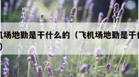 飞机场地勤是干什么的（飞机场地勤是干什么的?）