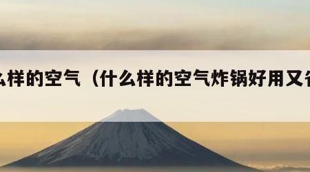 什么样的空气（什么样的空气炸锅好用又省电）