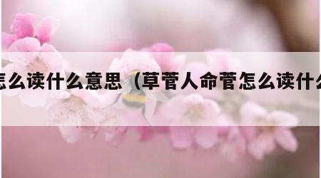 菅怎么读什么意思（草菅人命菅怎么读什么意思）