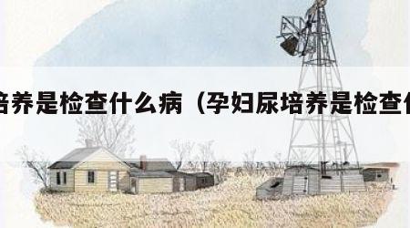 尿培养是检查什么病（孕妇尿培养是检查什么病）