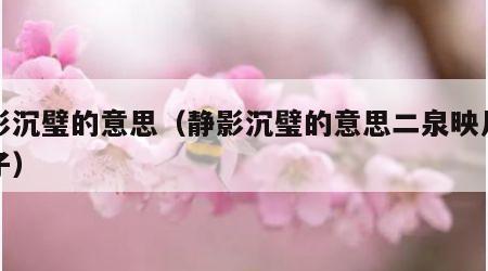 静影沉璧的意思（静影沉璧的意思二泉映月的曲子）
