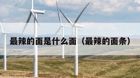 最辣的面是什么面（最辣的面条）