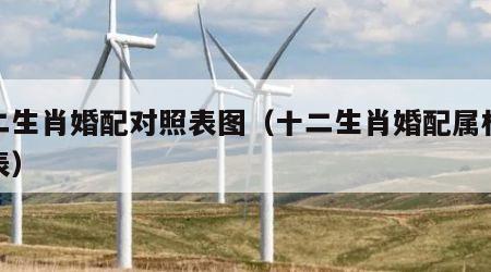 十二生肖婚配对照表图（十二生肖婚配属相配对表）