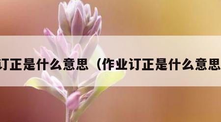 订正是什么意思（作业订正是什么意思）