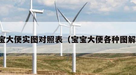 宝宝大便实图对照表（宝宝大便各种图解法）