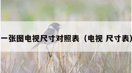 一张图电视尺寸对照表（电视 尺寸表）
