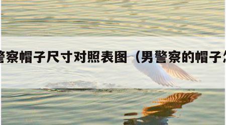 男警察帽子尺寸对照表图（男警察的帽子怎么画）