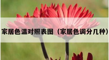 家居色温对照表图（家居色调分几种）