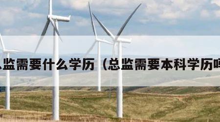 总监需要什么学历（总监需要本科学历吗）