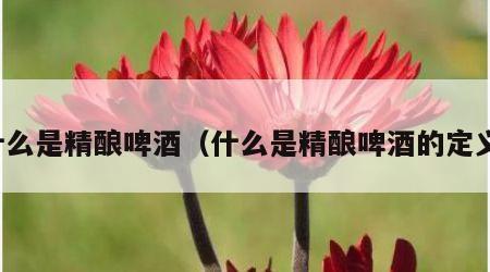 什么是精酿啤酒（什么是精酿啤酒的定义）