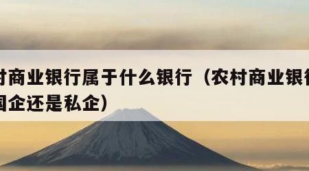 农村商业银行属于什么银行（农村商业银行属于国企还是私企）