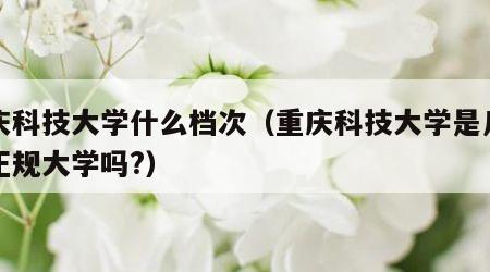 重庆科技大学什么档次（重庆科技大学是几本是正规大学吗?）