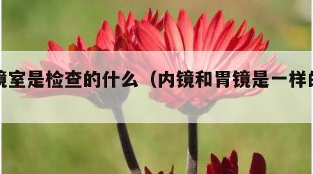 内镜室是检查的什么（内镜和胃镜是一样的吗）