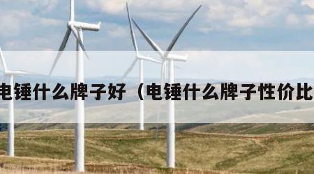 买电锤什么牌子好（电锤什么牌子性价比高）