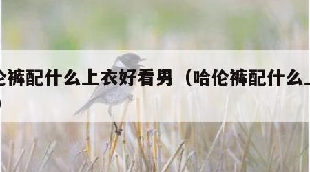 哈伦裤配什么上衣好看男（哈伦裤配什么上衣 男）