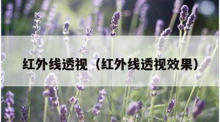 红外线透视（红外线透视效果）