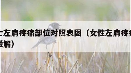 女士左肩疼痛部位对照表图（女性左肩疼痛怎么缓解）