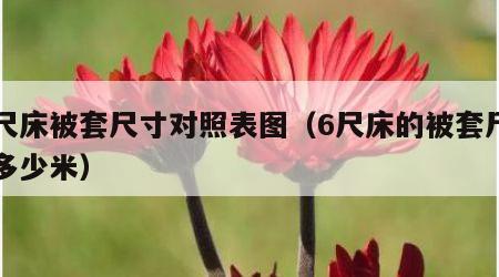 六尺床被套尺寸对照表图（6尺床的被套尺寸是多少米）