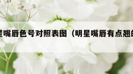 明星嘴唇色号对照表图（明星嘴唇有点翘的图片）
