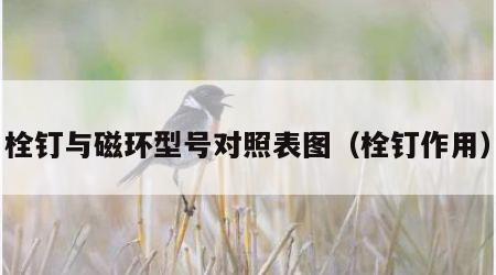 栓钉与磁环型号对照表图（栓钉作用）