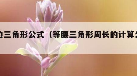 等边三角形公式（等腰三角形周长的计算公式）