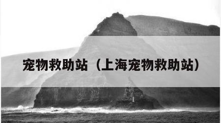 宠物救助站（上海宠物救助站）