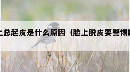 脸上总起皮是什么原因（脸上脱皮要警惕四种病）