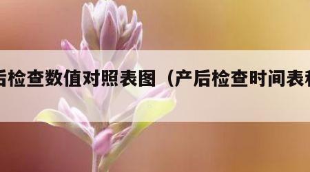 产后检查数值对照表图（产后检查时间表和项目）