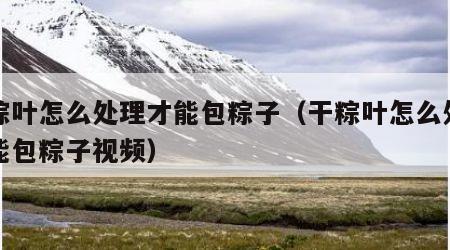 干粽叶怎么处理才能包粽子（干粽叶怎么处理才能包粽子视频）