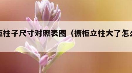 橱柜柱子尺寸对照表图（橱柜立柱大了怎么装门）