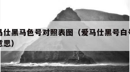 爱马仕黑马色号对照表图（爱马仕黑号白号什么意思）