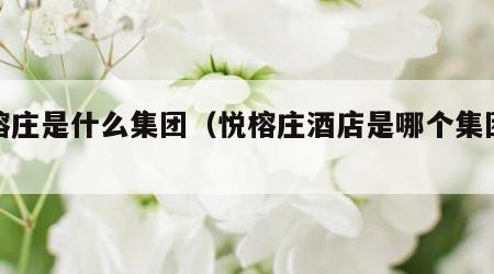 悦榕庄是什么集团（悦榕庄酒店是哪个集团旗下）