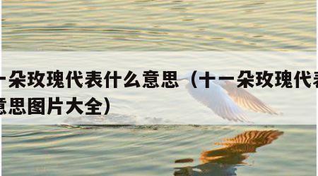 十一朵玫瑰代表什么意思（十一朵玫瑰代表什么意思图片大全）