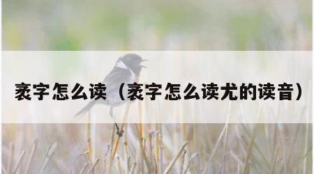 袤字怎么读（袤字怎么读尤的读音）