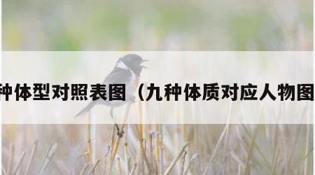 九种体型对照表图（九种体质对应人物图片）