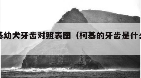 柯基幼犬牙齿对照表图（柯基的牙齿是什么样的）