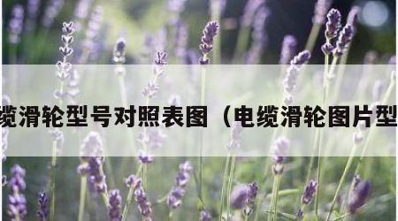 电缆滑轮型号对照表图（电缆滑轮图片型号）