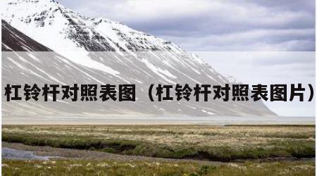 杠铃杆对照表图（杠铃杆对照表图片）