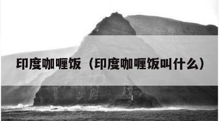 印度咖喱饭（印度咖喱饭叫什么）