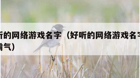 好听的网络游戏名字（好听的网络游戏名字女孩霸气）