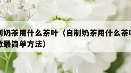 自制奶茶用什么茶叶（自制奶茶用什么茶叶怎么做最简单方法）